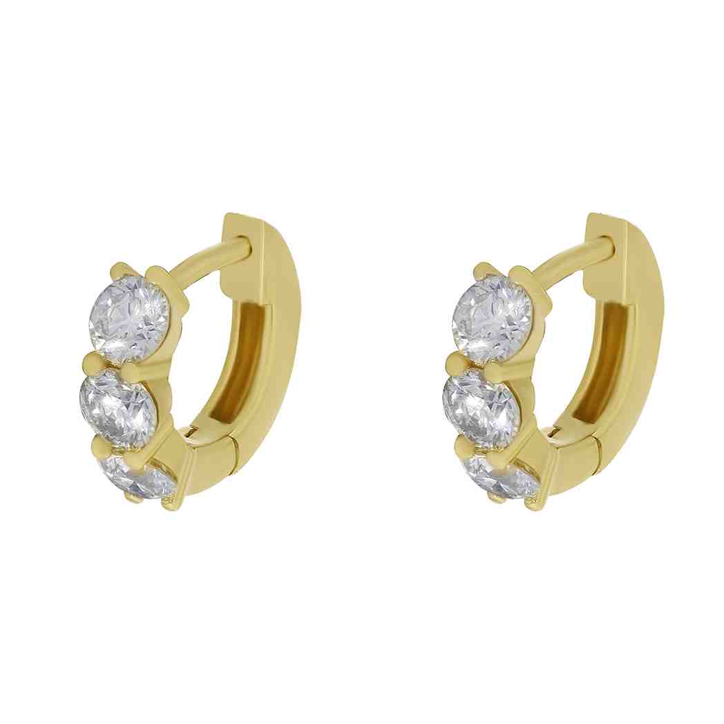 Huggy Hoop Earrings ER21897A